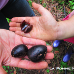 5 fruits par jour ? Oui, mais les plus ouf !