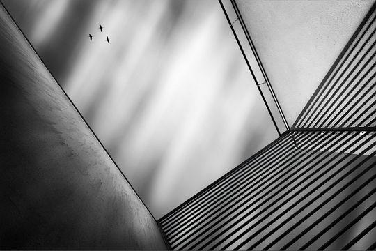 David Keochkerian Sélection Darqroom Pixfan #55