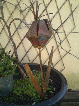 Je voudrais du Fred Astaire... DSC00681