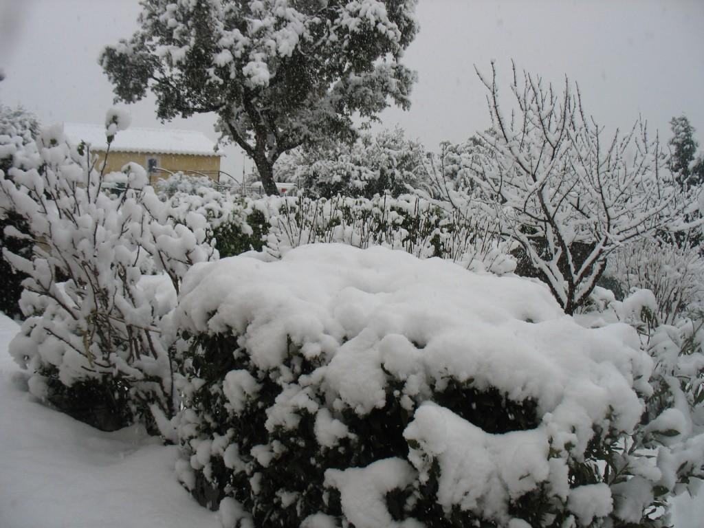 Première neige à Ampus