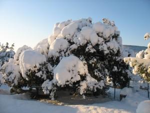 002 (4) Un mail pour le Toupin