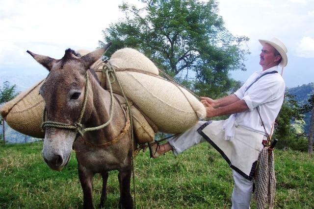 muletier Irrationalité individuelle et justesse des marchés
