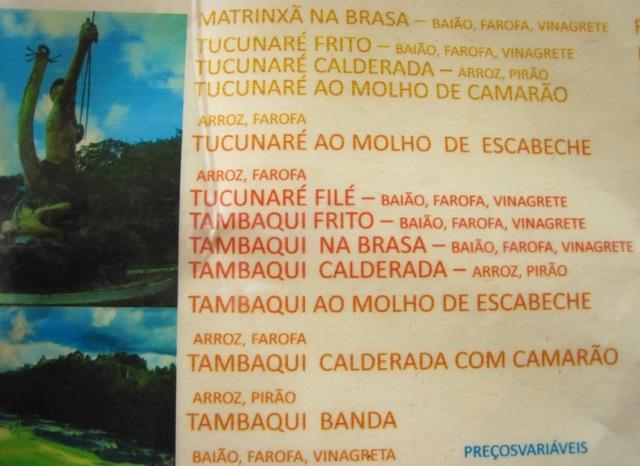 VILMO IN BRAZIL – MANAUS 2