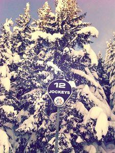 CHRONIQUE DES SOMMETS...#3 Unknown-3