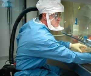 Supervirus H5N1: Publier les études? Un risque d’une ampleur exceptionnelle!  – Science et Nature