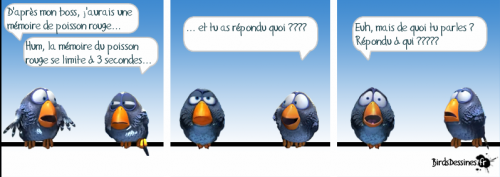 birdsdessines_perso.png