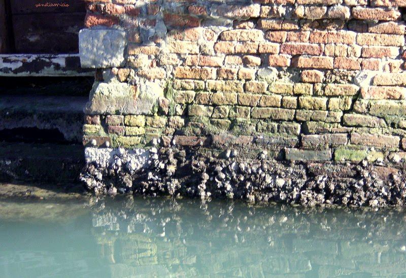 ZUDECA : le jardin d'Eden ZUDECA : le jardin d'Eden