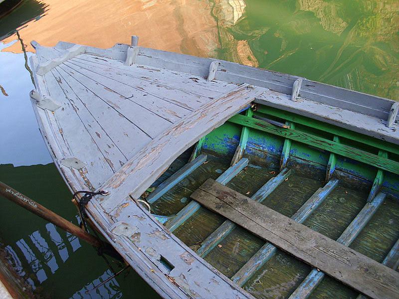 ZUDECA : le jardin d'Eden ZUDECA : le jardin d'Eden