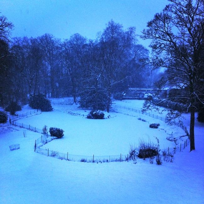 Vite vite partagez vos images de jardin sous la neige c’est trop joli ….