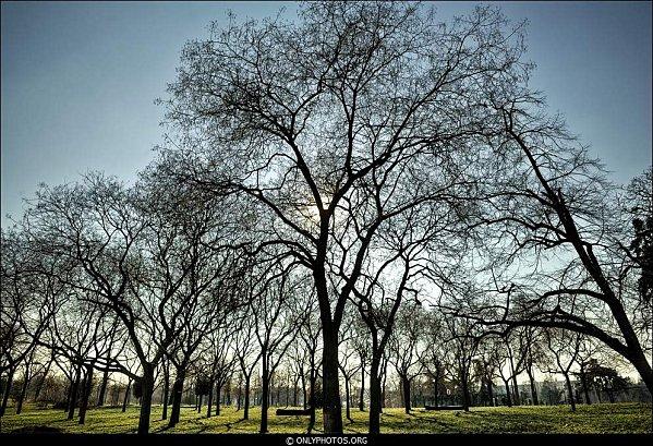 HDR. Bois de Vincennes. HDR-bois-de-vincennes-001