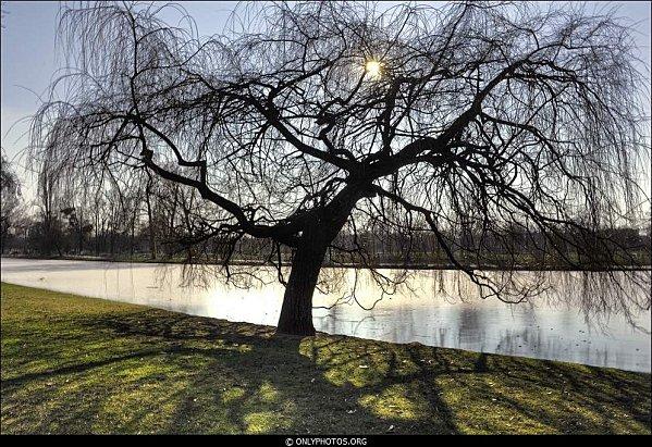 HDR. Bois de Vincennes. HDR-bois-de-vincennes-003