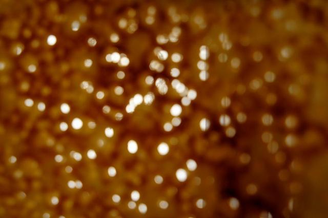 Un lundi parmi tant d'autres #65 DSC01208