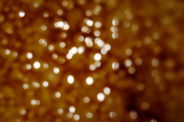 Un lundi parmi tant d'autres #65 DSC01206