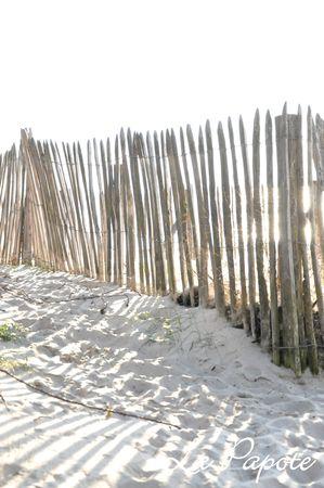 Un week-end tout en contrastes DSC_0014m