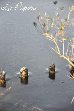 Un week-end tout en contrastes DSC_0010m