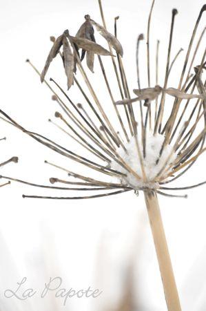 Un week-end tout en contrastes DSC_0023m