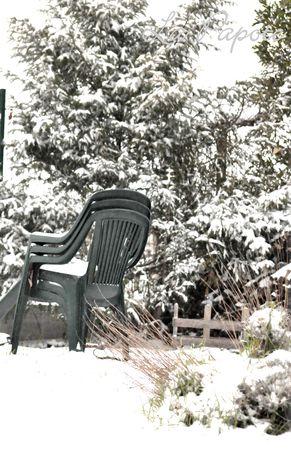 Un week-end tout en contrastes DSC_0029m