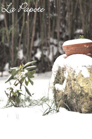 Un week-end tout en contrastes DSC_0030m