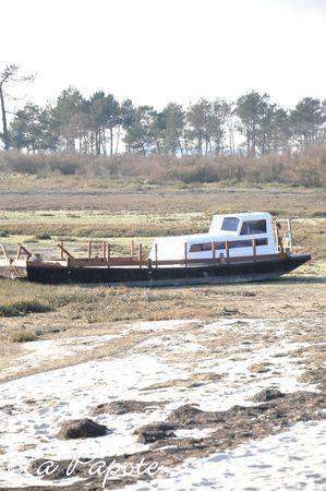 Un week-end tout en contrastes DSC_0009m