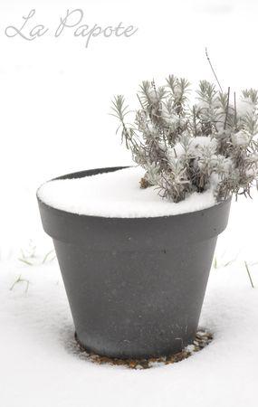 Un week-end tout en contrastes DSC_0028m