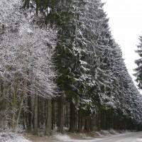 Grand froid : pas de coupures sur le réseau électrique Grand froid : pas de coupures sur le réseau électrique