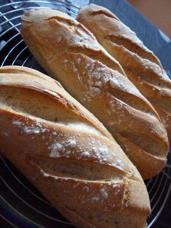 Baguettes de campagne SAM_4851