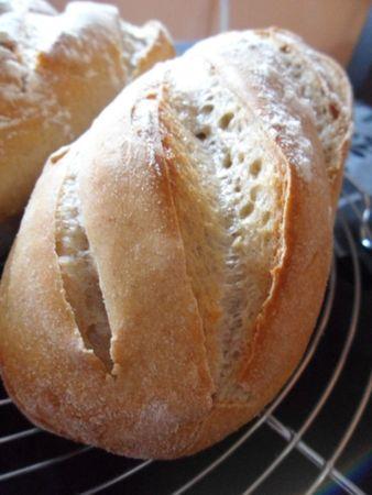 Baguettes de campagne SAM_4849