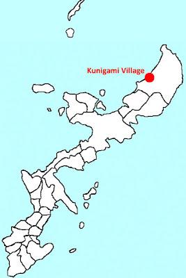 Excursion à Kunigami Village