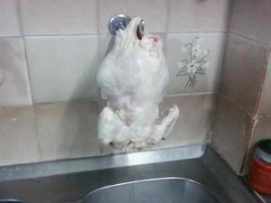 Poulet braisé au four aux pdt et oignons Poulet braisé au four aux pdt et oignons