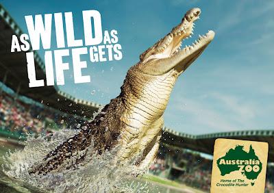 Australia Zoo : Une campagne presque vivante! Australia Zoo : Une campagne presque vivante!
