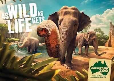 Australia Zoo : Une campagne presque vivante! Australia Zoo : Une campagne presque vivante!