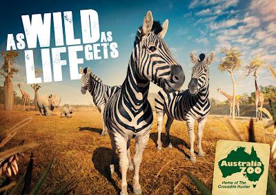 Australia Zoo : Une campagne presque vivante! Australia Zoo : Une campagne presque vivante!