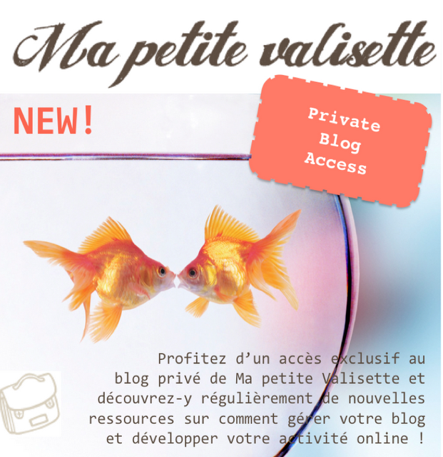 New : Ma Petite Valisette lance son blog privé