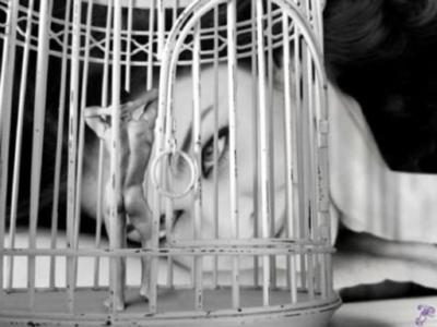 Homme dans une petite cage observé par une femme
