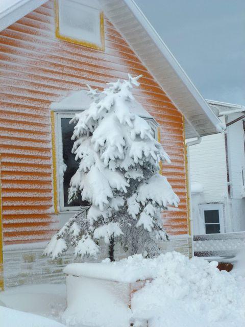 Après tempête de neige à Saint Pierre et Miquelon