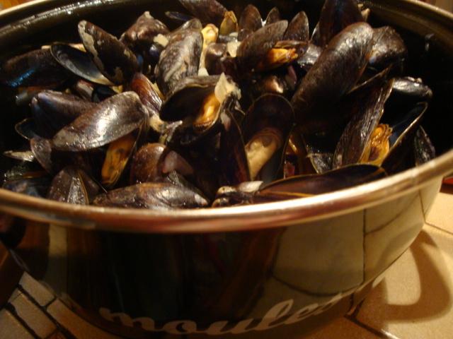 moule 002