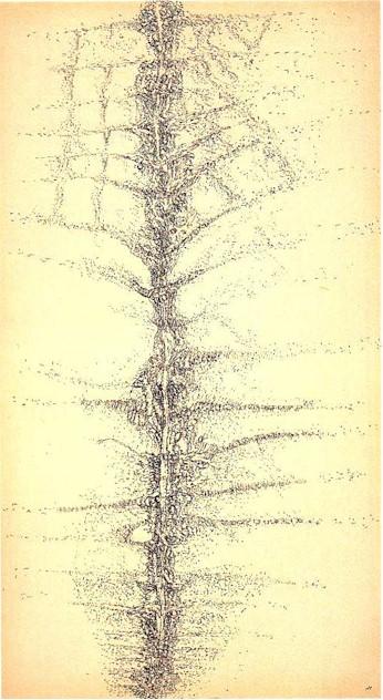 Henri Michaux, dessinateur,  aquarelliste . . .  et aussi,  bien sur,  écrivain