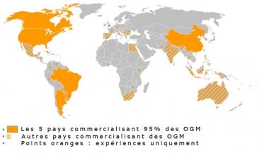 En 2011 les OGM ont progressé de 8 %