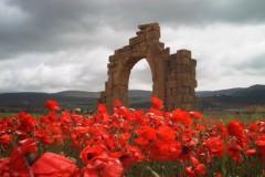 Morceaux choisis - C.Boidé Ruines de Batna.jpg