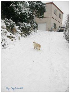 cachou pente neige 14 02 2012