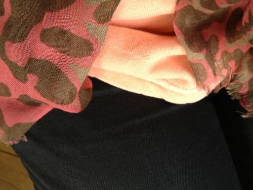 What do you say ? IMG_0676.jpg