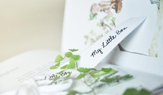 http://www.mylittlebox.fr/media/images/mylittlebox8.jpg