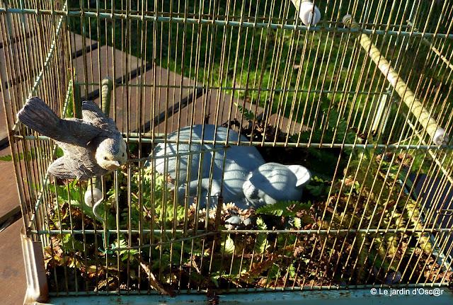 Onze questions pour ce tag qui circule et pour leque... Onze questions pour ce tag qui circule et pour leque...