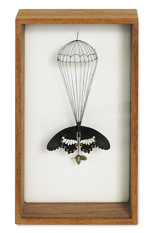 Réparer la beauté 04-vlinderkast-05-0