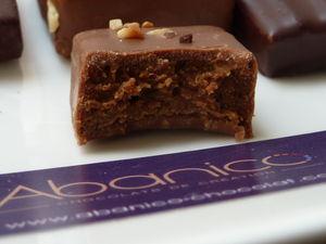 Abanico chocolat P1090236