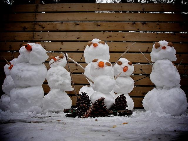 Resistance is futile.... DSC07453