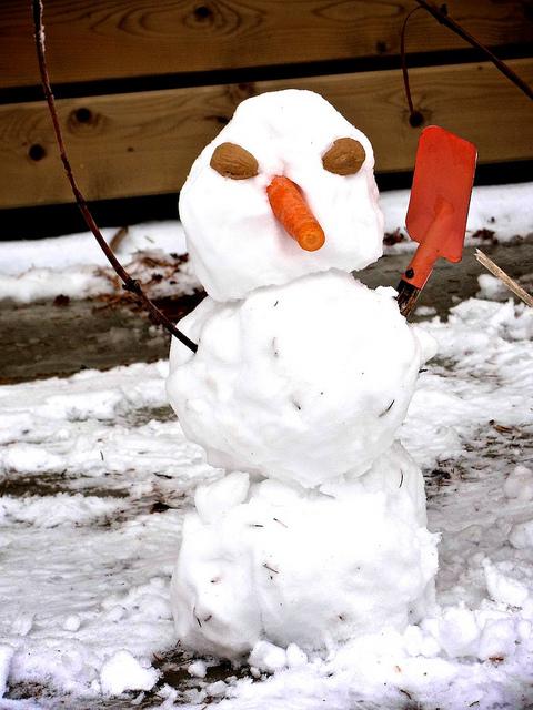 Resistance is futile.... DSC07514