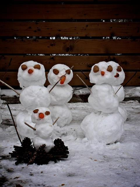 Resistance is futile.... DSC07501