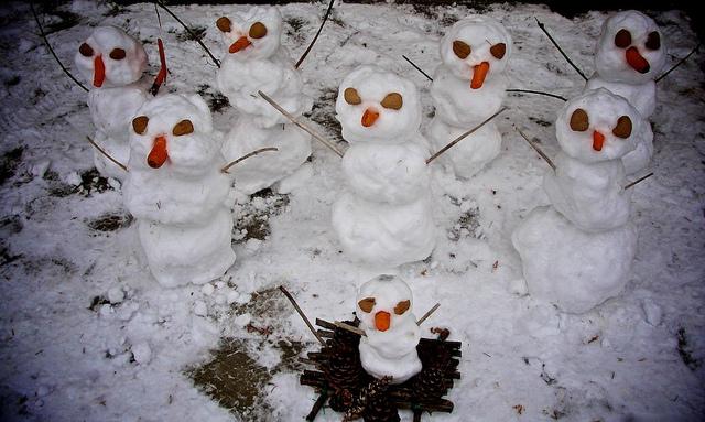 Resistance is futile.... DSC07459