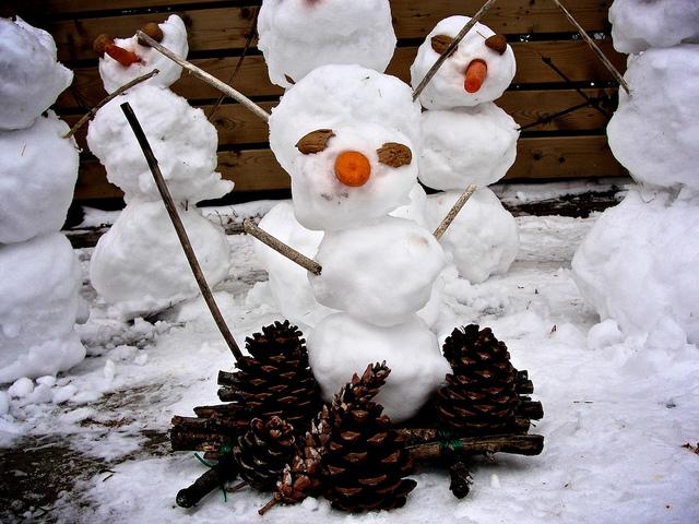 Resistance is futile.... DSC07468